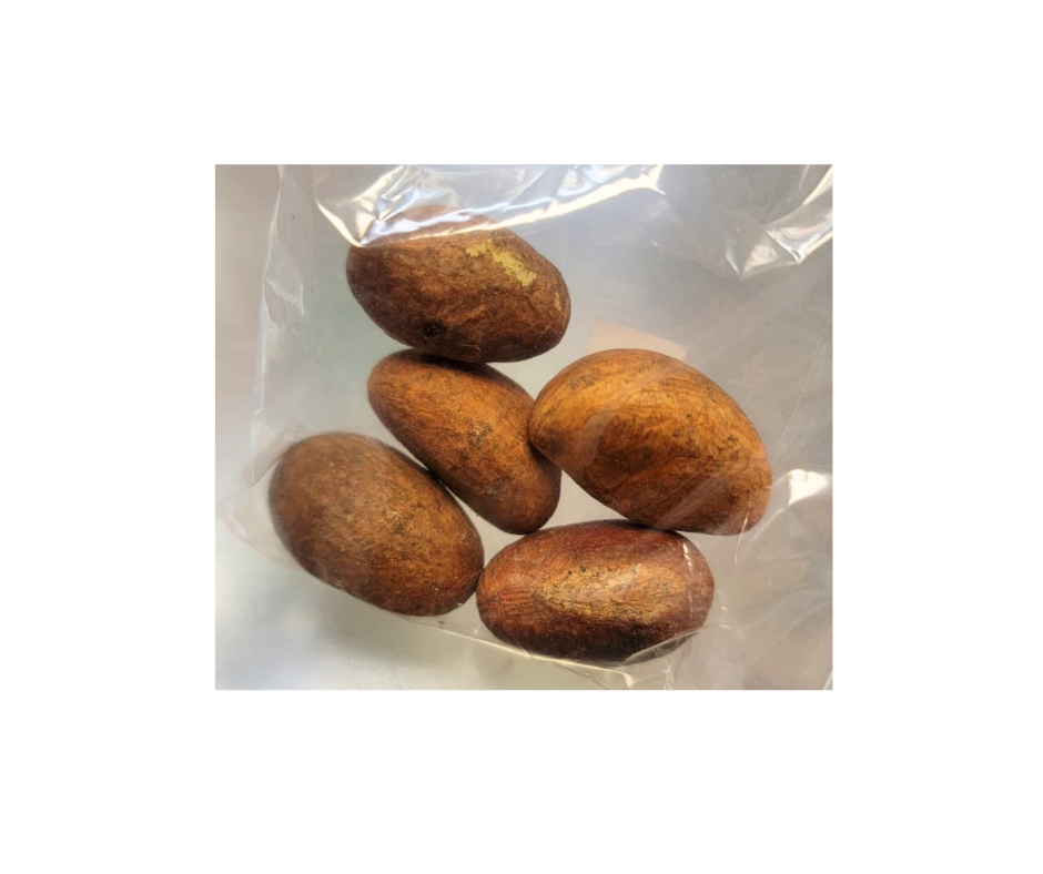Bitter Kola Nuts